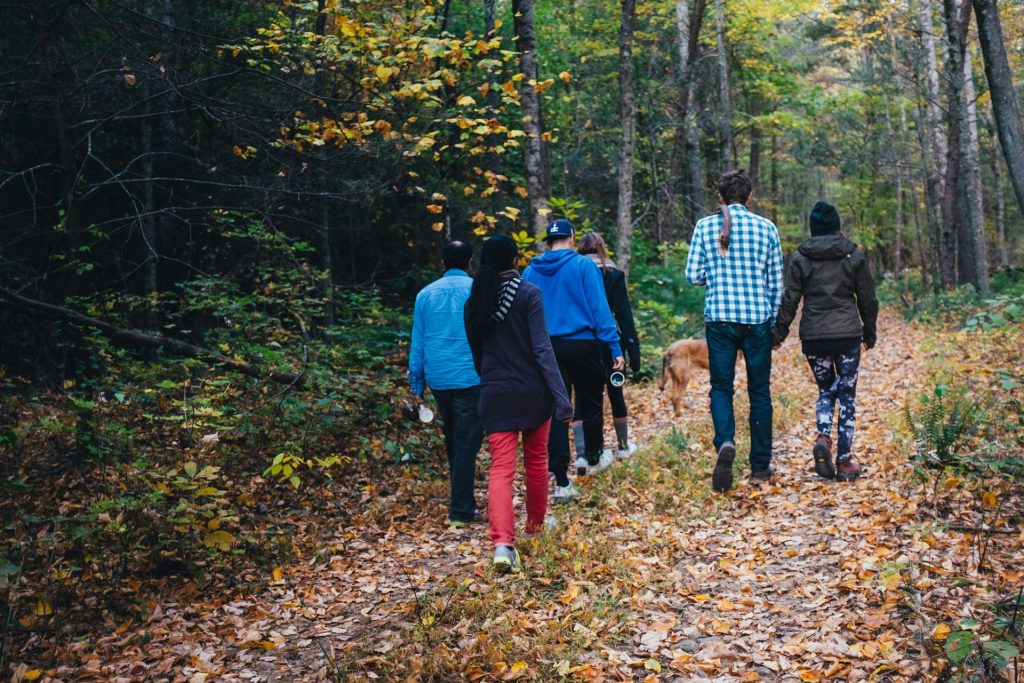 a group of six people walking in the woods with a dog